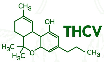 thcv