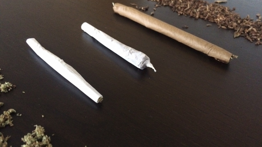 blunt vs joint