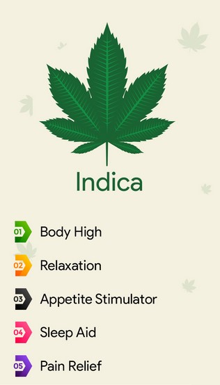 Best indica strain for sleep