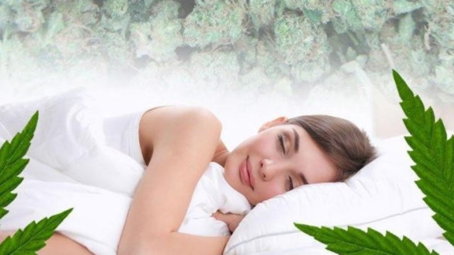 Best indica strain for sleep