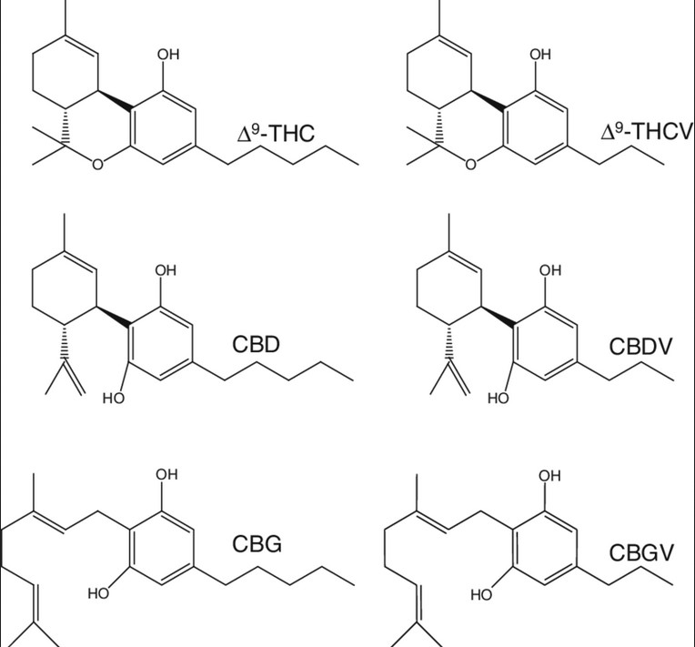 THCV VS THCA