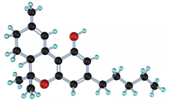 What is thc