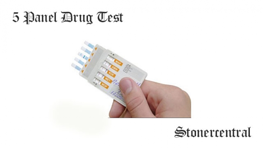 5 Panel Drug Test