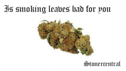 Is smoking leaves bad for you