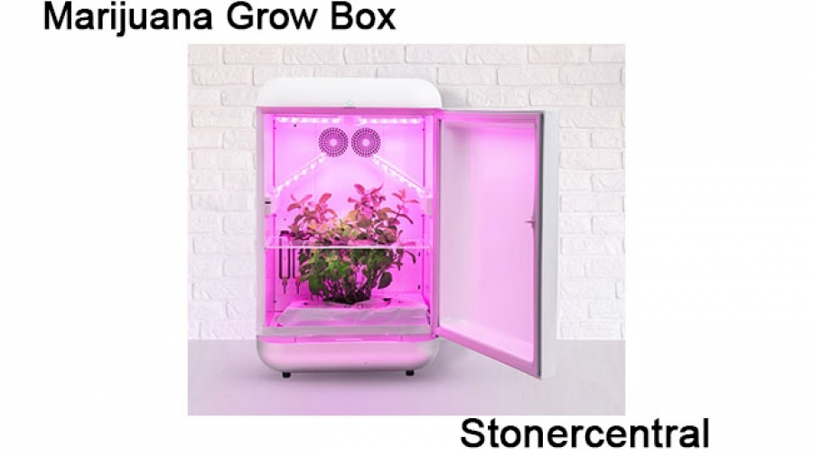 Marijuana-Grow-Box-03
