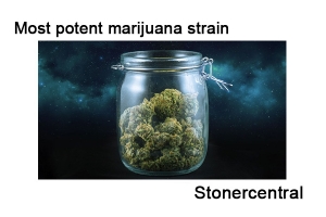 Most potent marijuana strain