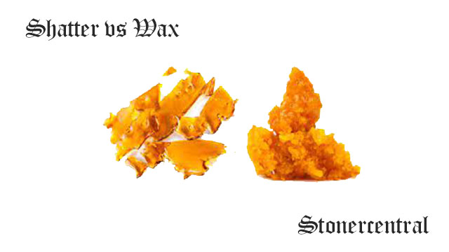 The Difference Between Shatter Vs Wax