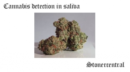 cannabis detection in saliva