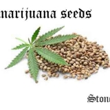 good marijuana seeds