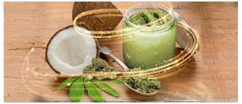 Cannabis-infused coconut oil: Benefits and recipe - Cannaconnection.com
