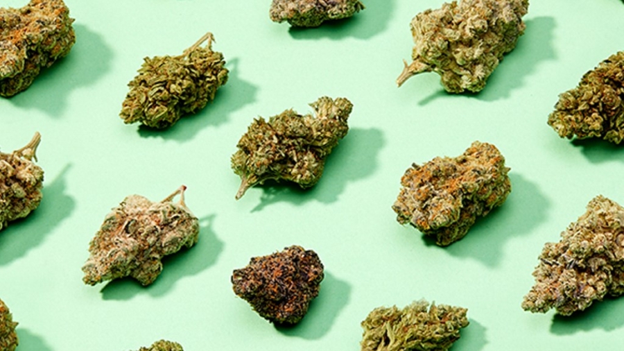 what-is-the-best-hybrid-strain