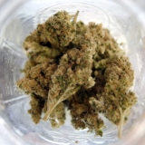 Medical-Marijuana-5